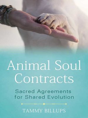 cover image of Animal Soul Contracts